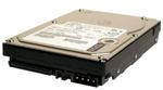 HDD IBM eServer HUS103036FL3600 36GB, 10K rpm, Wide Ultra320 SCSI, 68-pin, p/n: 71P7439, 80P3151, 17R6171  ( )