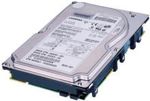 HDD Hewlett-Packard (HP) 36.4GB, 10K rpm , Wide Ultra320 (U320) SCSI, BD03688272, 1", 80-pin, p/n: 360205-007, 271837-003 , OEM ( )