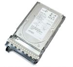 Hot Swap HDD Dell/Maxtor Atlas 10K V 146GB SAS (Serial Attached SCSI), 10K rpm, 3.5"/tray, DP/N: 0M8033, OEM ( )