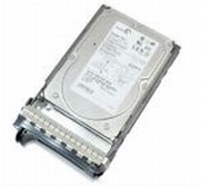      Hot Swap HDD Dell/Maxtor Atlas 10K V 146GB SAS (Serial Attached SCSI), 10K rpm, 3.5"/tray, DP/N: 0M8033. -$199.
