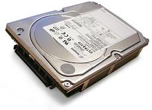 В продаже появились жесткие диски HDD Seagate Cheetah 10K.7 ST336607LC, 36.7GB, 10K rpm, Ultra320 (U320) SCSI, 80-pin. Цена-7120 руб.