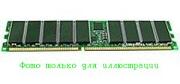 Товарный ряд представлен модулями памяти HP/Compaq DDR RAM Memory Module 128MB 333MHz CL2.5 PC2700 NON-ECC, 305956-041. Цена-705 руб.