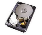 Можно купить жесткие диски HDD IBM eServer xSeries 36.4GB, 10K rpm, SCSI Ultra320, 80-pin, p/n: 26K5151, 90P1304, FRU: 90P1308. Цена-7120 руб.