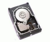 Со склада можно приобрести жесткие диски HDD Seagate Cheetah 15K3 ST336753FC, 36.7GB, 15K rpm, 8MB Cache, Fibre Channel (FC-AL) 40-pin. Цена-8720 руб.